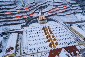 Aerial view of the Belvedere in Wackerbarth Castle Park with vineyards under snow and Christmas