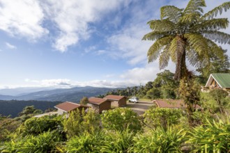 Lodge in the cloud forest, in the evening light, Quetzal Lodge, view over mountain landscape, San