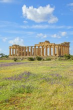 Temple of Hera or Temple E, Selinunte Archaeological Park, Selinunte, Trapani district, Sicily,