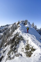 Ski tourers ascending the Teufelsstättkopf, Snow-covered mountain landscape on a mountain ridge,