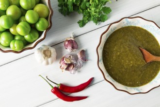 Tkemali sauce, traditional Georgian cuisine, green cherry plum, with ingredients for sauce,