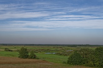 The Biebrza Valley in the Biebrza National Park in northern Poland. Burzyn, Podlaskie, Poland,