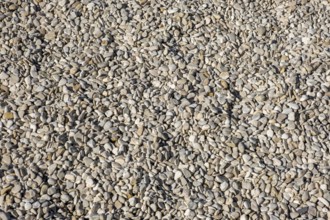 Pebbles, background image, texture, Münsterland, North Rhine-Westphalia, Germany, Europe