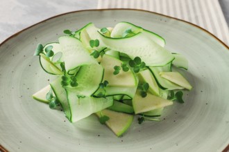 Spring, green salad, cucumber with apple, top view, close-up, no people, microselen radish, healthy