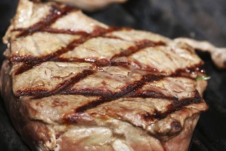 Steak on the grill with diamond pattern