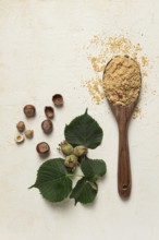 Wooden spoon with hazelnut flour, top view, no people, on a white table