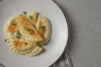 Pierogi, a traditional dish of Polish cuisine, dumplings, top view, close-up, no people