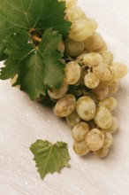 A branch of white grapes with leaves, on the table, top view, close-up, no people