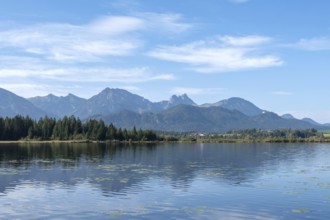 Hopfensee, Hopfen am See, near Füssen, Allgäu Alps, East Allgäu, Allgäu, Bavaria, Germany, Europe