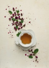 Cup of tea, damask rose, pink tea, close-up