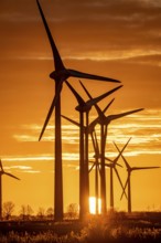 Wind farm near the East Frisian town of Norden, east of the town, sunset, Lower Saxony, Germany,