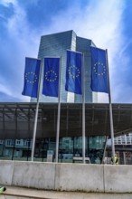 Building of the European Central Bank, ECB, in Frankfurt am Main, Skyline, Hesse, Germany, Europe