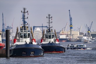 Harbour tug VB Bison, Bear on the Elbe, Hamburg, Germany, Europe