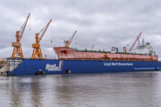 Lloyd Werft, dry dock, freighter Atlantic Journey, shipyard in the overseas harbour of Bremerhaven,