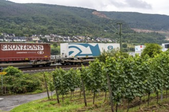 Upper Middle Rhine Valley, railway line on the right bank of the Rhine, goods train line, up to 400