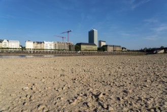 Rhine near Düsseldorf, extremely low water, Rhine level at 81 cm, falling, after a long drought the