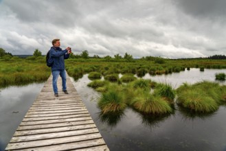 The High Fens, Brackvenn, raised bog, wooden plank hiking trail, in Wallonia, Belgium, on the