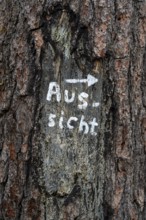 Sign on a tree, to a viewpoint of the Kettwiger Panoramasteig and the Baldeneysteig, Essen, North