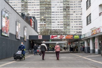 Duisburg-Hochheide, large housing estate Wohnpark Hochheide, 6 20-storey high-rise buildings with