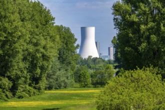 Rhine meadows near Duisburg-Beeckerwerth, view of the STEAG Walsum power station, coal-fired power