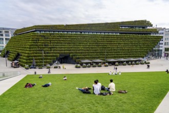 Green façade, consisting of over 30, 000 hornbeams forming a hedge a good 8 kilometres long on the