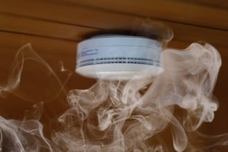 Home smoke detector, battery-operated smoke detector, smoke, wooden ceiling, building services,