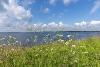 Nature reserve Holnis peninsula on the Flensburg Fjord, nature reserve, view of the Danish shore,