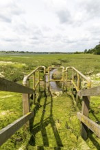 Drainage sluice gate River Deben at very low tide, Sutton, Suffolk, England, UK