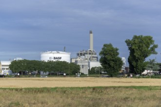 BASF, Lugwigshafen am Rhein, industrial area, Felder, Mannheim, Baden-Württemberg, Germany, Europe