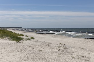 Wide beach landscape with a view of the sea and gentle waves under a blue sky, Rügen, Hiddensee