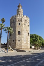 Old stone watchtower surrounded by palm trees under a clear blue sky, Seville