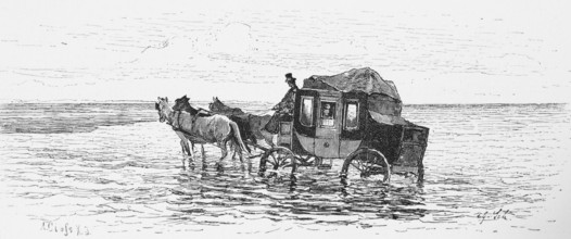 Carriage ride through the mudflats, North Sea, East Frisia, Lower Saxony, low tide, horse-drawn