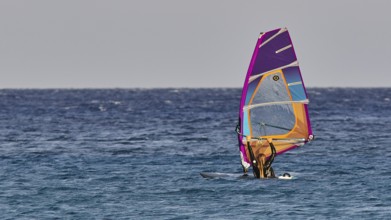 A windsurfer with a shining sail enjoys the calm of the sea, windsurfer, Meltemi windsurfing spot,