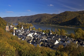 View of Bacharach on the Rhine in autumn from the long-distance hiking trail RheinBurgenWeg, UNESCO