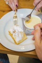 Apple strudel with icing sugar, served with vanilla sauce, two forks on a plate, autumn creations