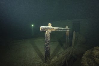 Detailed view of a shipwreck covered with mussels, quagga triangle mussel (Dreissena rostriformis