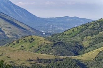 View of the forests of the Foresta Demaniale di Roccarainola in the Neapolitan region. San Felice a