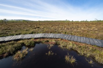 Plank path through the Black Moor, blue sky, near Fladungen, Bavarian Rhön Biosphere Reserve,