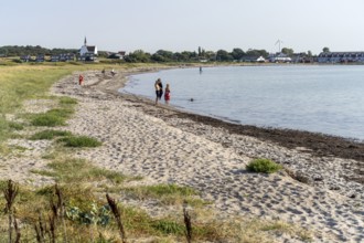 On the beach at Bagenkop, Langeland Island, Denmark, Europe