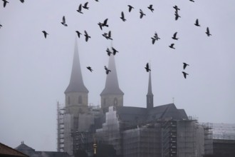 Bamberg Cathedral, fog, winter, Bavaria, Germany, Europe