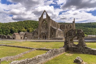 The ruins of Tintern Abbey in the Wye Valley, Tintern, Monmouth, Wales, Great Britain