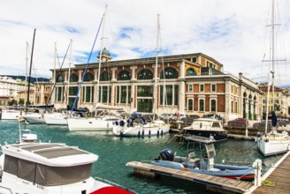 Old Market Hall, Trieste, harbour town on the Adriatic, Friuli, Italy, Trieste, Friuli, Italy,