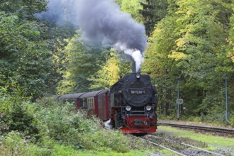 HSB, Harz narrow-gauge railway, locomotive, steam engine, smoke, HSB railway, Brockenbahn, Harz,