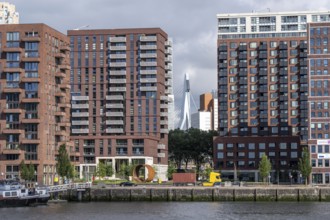 New residential tower blocks in the Katendrecht neighbourhood, Feijenoord district in Rotterdam, on