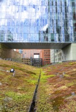 Green spaces around buildings, here at Hogeschool Inholland Rotterdam, plant beds at passageways,