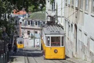 Yellow tram descends steeply, lined with buildings, funicular railway, Ascensor da Glória, Old