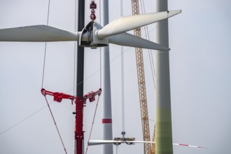 Dismantling of a wind power plant in a wind farm near Issum, 9 older wind turbines from the