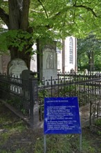 Europe, Germany, Hanseatic City of Hamburg, Altona district, cemetery at St. Christian's Church,