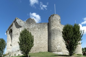 Billy. Fortified castle, showcasing medieval architecture from the 13th century in Allier