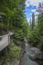 Rappenloch Gorge natural monument, Dornbirner Ach, Dornbirn, wooden footbridge, Bregenzerwald,